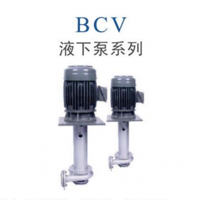 BCV液下泵