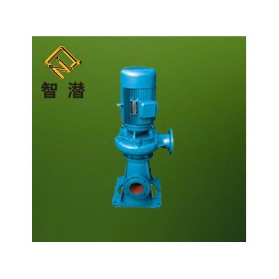 LW型直立式無堵塞排污泵